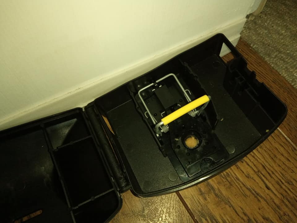 mouse trap box pest control