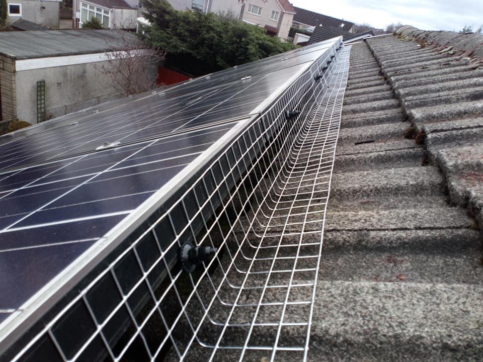 solar panel pigeon proofing pest control